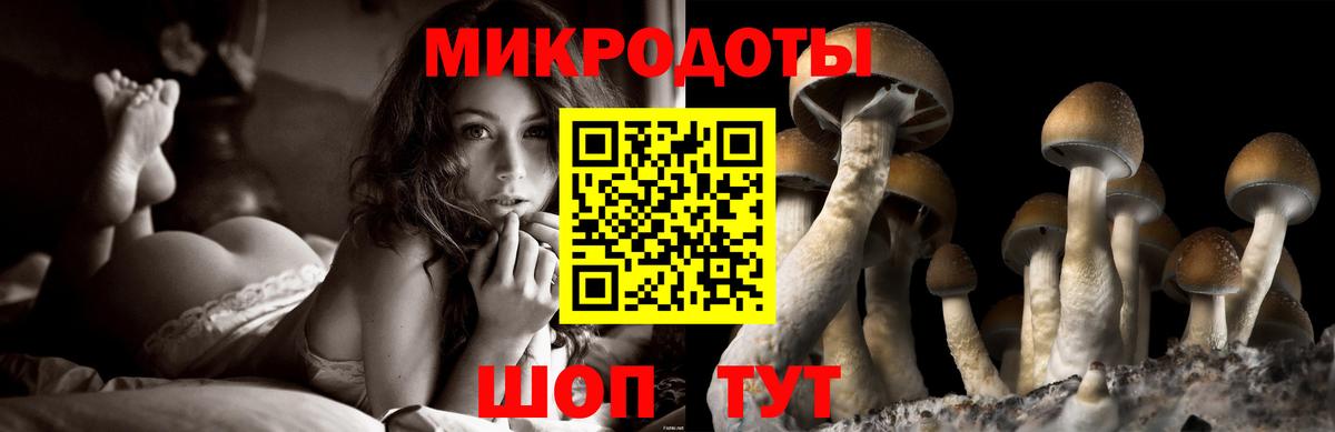 Псилоцибиновые грибы прущие грибы Саяногорск